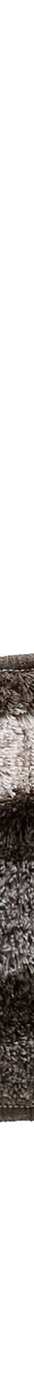 Tapis de bain zèbre très moelleux (gris) Tapis de bain zèbre très moelleux (gris)